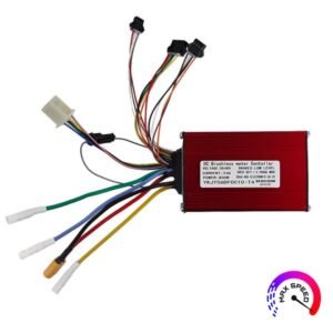 Controladora Speedway/Rockway PRO Homologada con cable limitable [smartGyro]